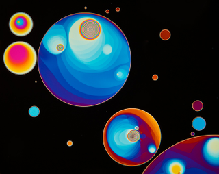 Illustration for article titled Remarkable Nikon Small World Microscope Photography Winners